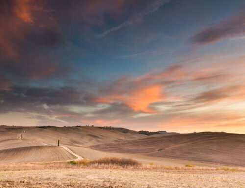Black Friday bij de Fotoreisshop — geen korting, wél een cadeau dat je fotografie versterkt