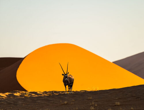 Fotoreis Namibië – Ervaringen van de reisbegeleider