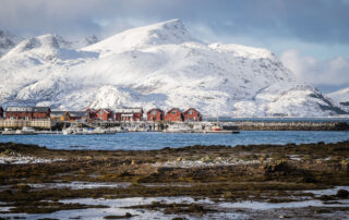 Vesteralen Lofoten Svolvaer Fiskebol