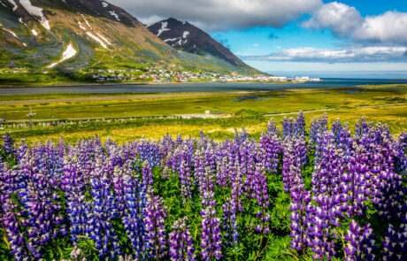 IJsland fotoreis voorjaar zuidkust fotograferen