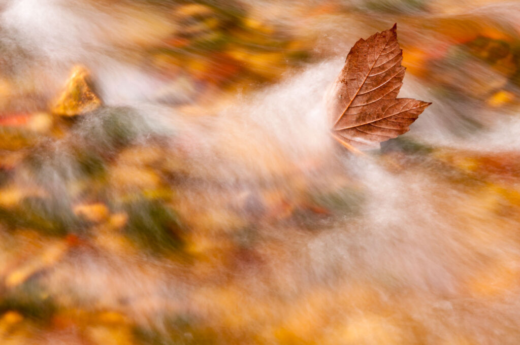 Herfstkleuren fotograferen-3