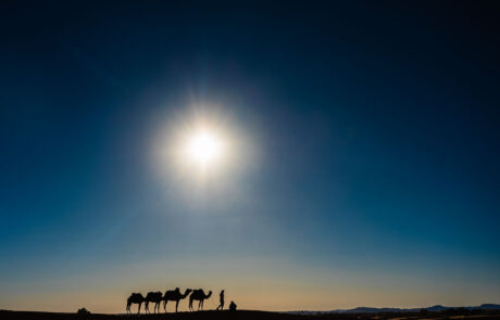 Sahara landschapsfotografie kamelen kamelenrit Zonsondergang