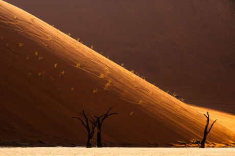Deadvlei Fotoreis Fotografiereis Namibie Afrika