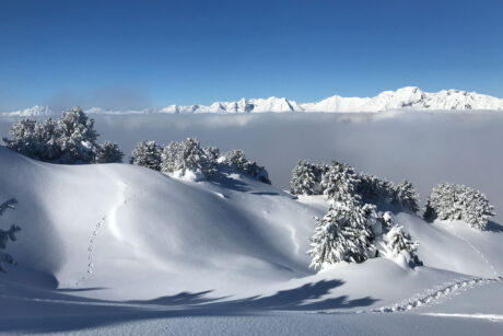 Fotografeer in de Franse Alpen in de winter Fotoreisshop