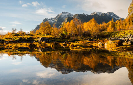 Herfstkleuren fotograferen op de Lofoten fotoreis fotografiereis