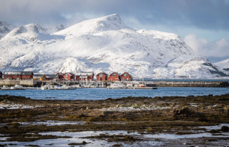 Landschapsfotografie Noorwegen Winter Sneeuw Sneeuwlandschap Lofoten