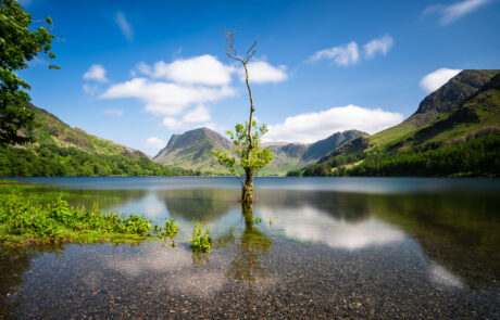 buttermere-bergmeer-herfstlicht