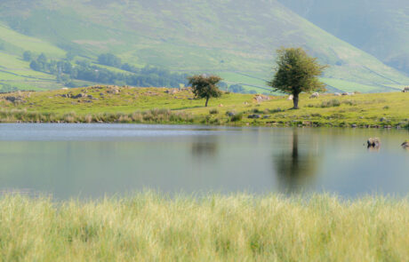 fotograferen-lake-district-maart-licht