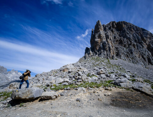 Fotoreis Picos de Europa 2025 voorjaar – fotoresultaten van begeleidster Heleen