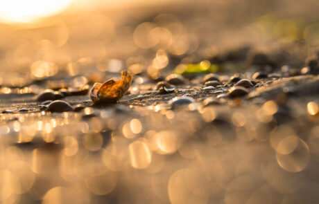 fotoreis-zeeland-fotolocatie-veere