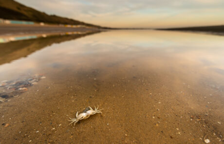 fotoreis-zeeland-zonsopkomst-aan-zee