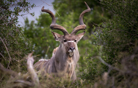 fotoreis-zuid-afrika-12-dagen