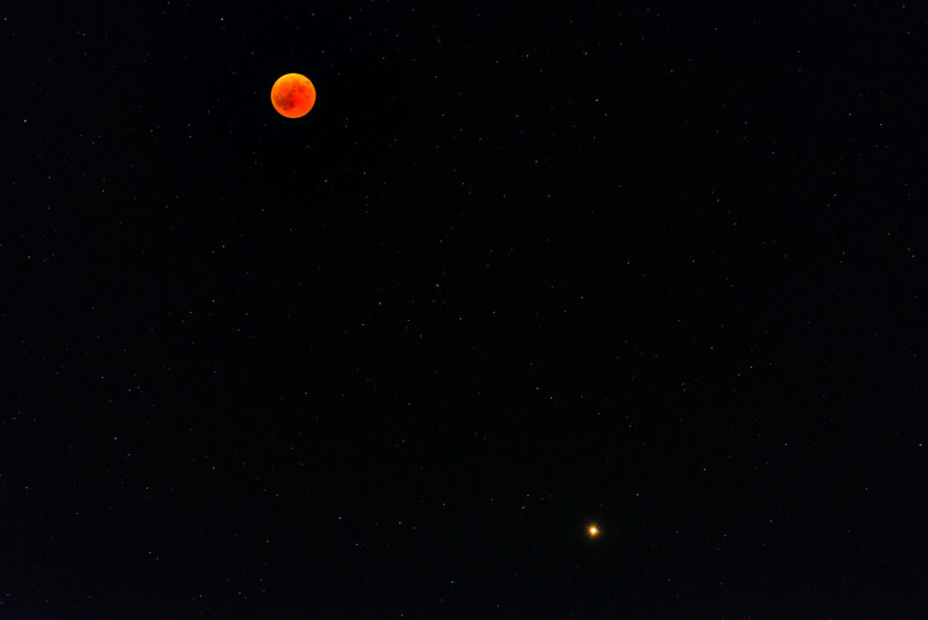 Bloedmaan fotograferen tips-1