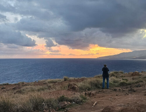 Fotoreis Madeira 2025 najaar – licht, regen, mist en magie op het eiland van vier seizoenen