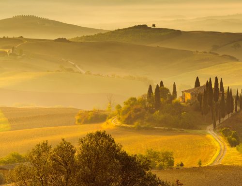 Fotoreizen najaar 2026